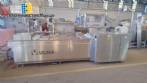 Termoformadora em inox ULMA TFS 200