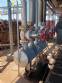 Caldeira  lenha para 10.000 kg hora de vapor