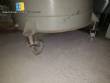 Tanque pl�stico industrial de pol�mero polipropileno 2000 L Grabe