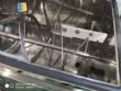 Misturador ribbon blender em a�o inox 250 kg