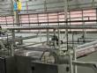 Linha completa para fabricao de massas longas espaguete spaguetti  Forteusi 2000 kg