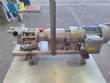 Bomba senoidal positiva assptica inox 316 L  MasoSine Certa