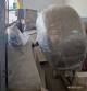 Drageadeira em a�o inox 150 kg por hora
